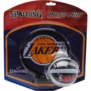Basketbalové koše Spalding Team Miniboard