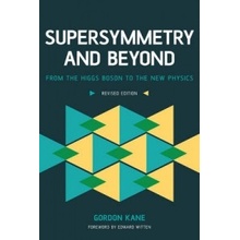 Supersymmetry and Beyond