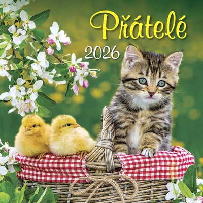 SPEKTRUM GRAFIK Nástěnný Přátelé 2026