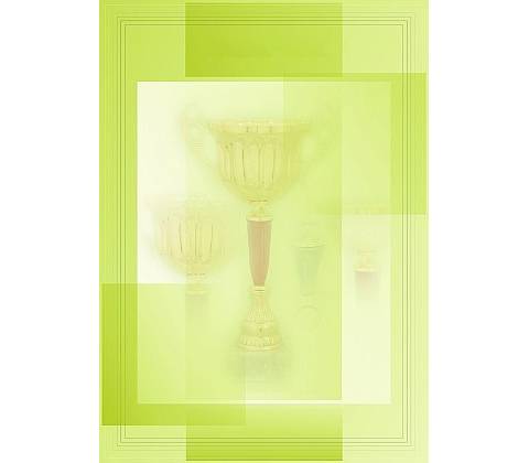 diplom 7