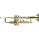 Stagg WS TR215S