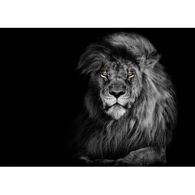 (B) 3D pohľadnica Lion Black&White