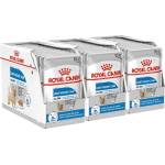 Royal Canin Light Weight Care Dog Loaf diétna kapsička s paštétou pre psy 36 x 85 g