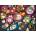 Schmidt Spiele - Puzzle Coffee art kittens - 500 piese