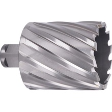 ABSE N-HS-W19-0590050