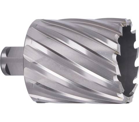 ABSE N-HS-W19-0590050