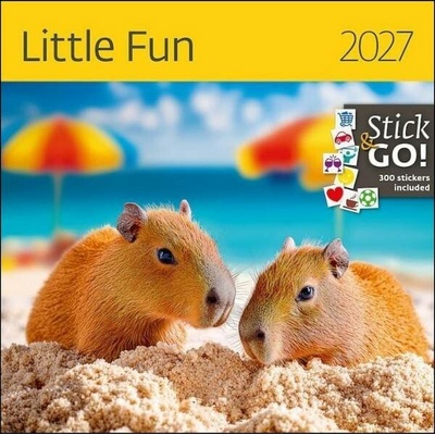 LITTLE FUN 2027