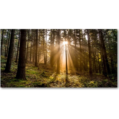 Foto obraz fotografie na skle slnečné svetlo 100x50 cm