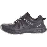 Head Ervin low 43