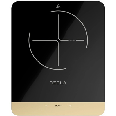 Tesla 401B