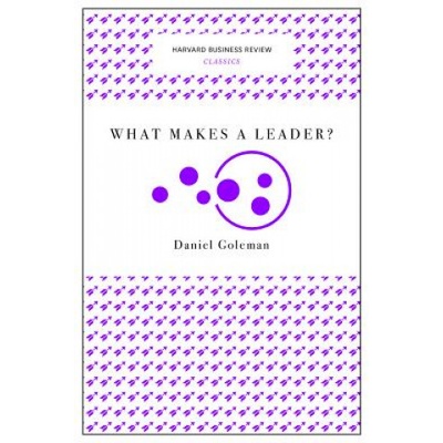 What Makes a Leader? (Harvard Business Review Classics) | Daniel Goleman