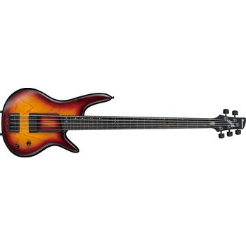 Ibanez GWB205