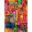 Educa - Puzzle Yarn - 500 piese