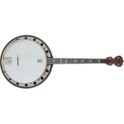 Deering Artisan Goodtime Two 17-Fret Tenor