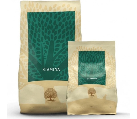 Essential Stamina 10 kg