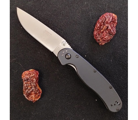 Ontario RAT 2