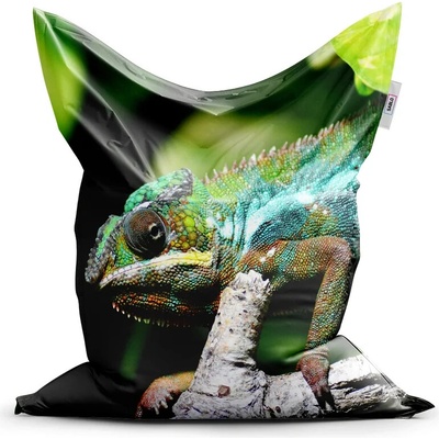 Sablio Sedací vak Chameleón 200x140 cm