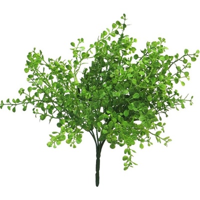 Hedera knofliková keř zelená 30 cm