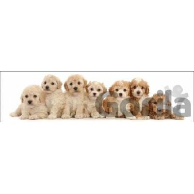 3D záložka Seven puppies