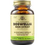 Solgar Boswellia Resin Extract, 60 растителни капсули, Solgar