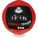 Bushido Wall ball 6 Kg
