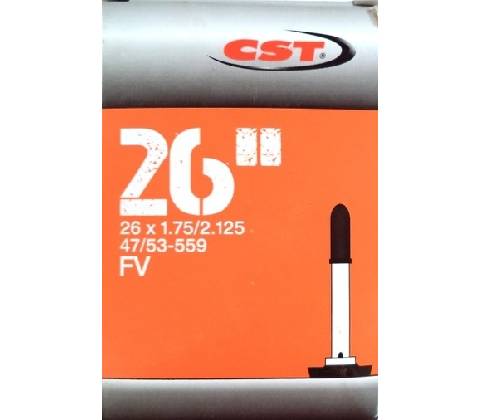 CST FV