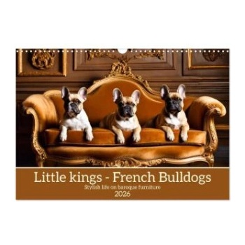 Calvendo Little kings - French Bulldogs (Wall Calendar 2026 DIN A3 landscape), CALVENDO 12 Month Wall Calendar | Calvendo, Claudia Kleemann