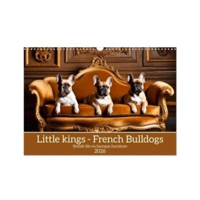 Calvendo Little kings - French Bulldogs (Wall Calendar 2026 DIN A3 landscape), CALVENDO 12 Month Wall Calendar | Calvendo, Claudia Kleemann
