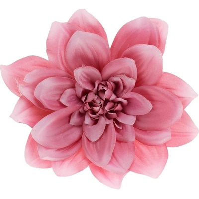 HLAVA DAHLIA 14CM BAL.12KS RUŽOVÉ