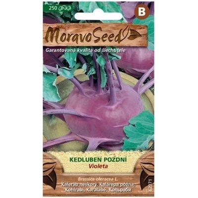 Semínka MoravoSeed Kedluben pozdní VIOLETA modrý 250s