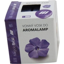 Rentex vonný vosk palmový do aroma lampy kostky Brčál 8 ks 30 g