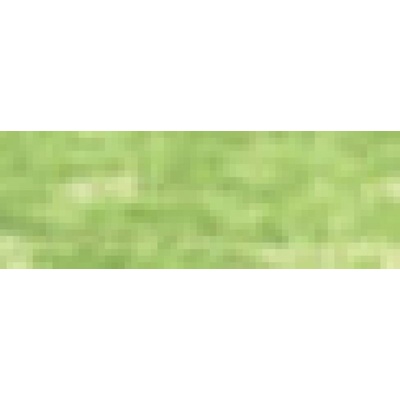 Pastel Pencil Suchý pastel v tužce P480 may green Derwent