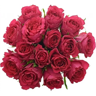 Kytice 15 vínových růží MADAM CERISE 60cm
