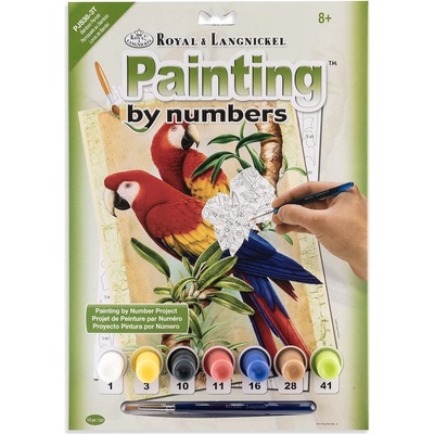 Malování podle čísel Papoušci