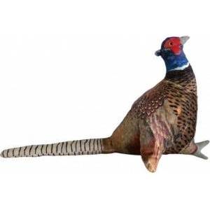 Dubi Pheasant 30cm