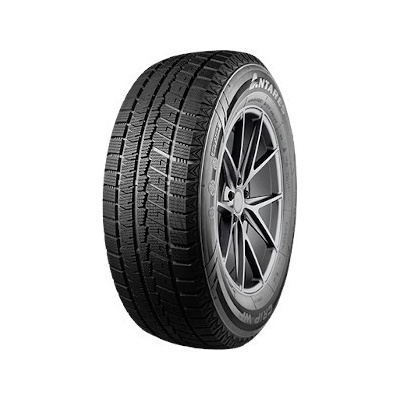 Antares Grip Winter Plus 245/45 R20 99T
