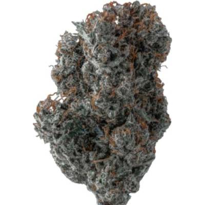 Growers Choice Applez and Bananaz semena neobsahují THC 5 ks