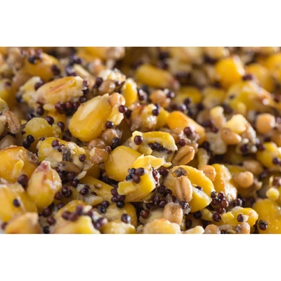 Mivardi Partikel Mix 2,5kg
