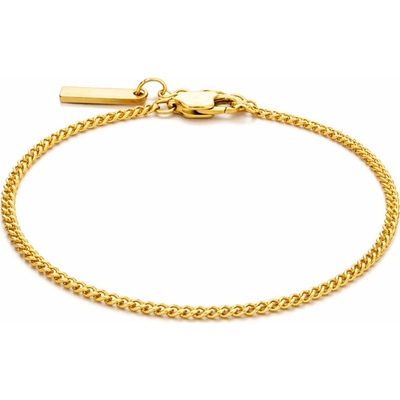 Daniel Dawson Pánský náramek Mario Gold chirurgická ocel NR2353-YS44926/18 Zlatá