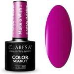Claresa Gel polish for nails MAKE A WISH No. 3 5g