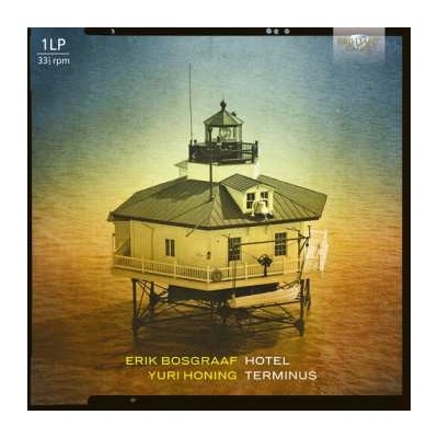 Erik Bosgraaf - Hotel Teminus LP