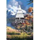 Pine