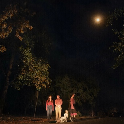 The Ophelias - Spring Grove LP