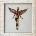 Nirvana - In Utero (bc442243-bfe7-4a22-b91d-9ec6ccf4d78e)