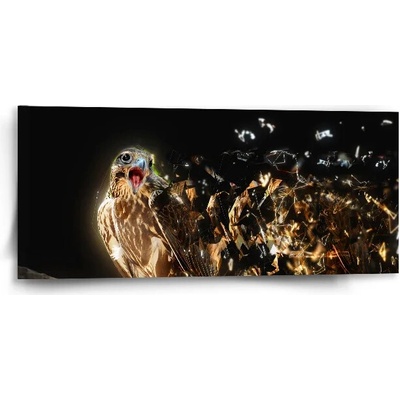 Sablio Obraz Dravec - 110x50 cm