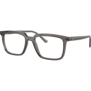 Ray-Ban RX7239 8257