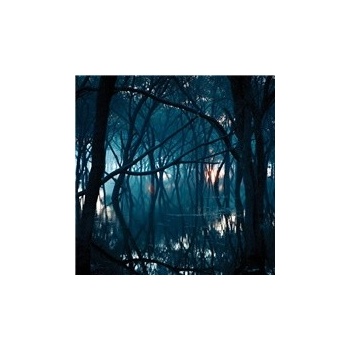 Oneirogen - Kiasma