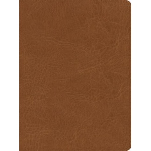 CSB He Reads Truth Bible, Saddle Leathertouch | He Reads Truth, Raechel Myers (ISBN: 9781087766133)