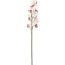 Orchidej větvička, bílo-růžová, 90 cm