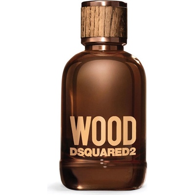 Dsquared2 Wood toaletná voda pánska 100 ml